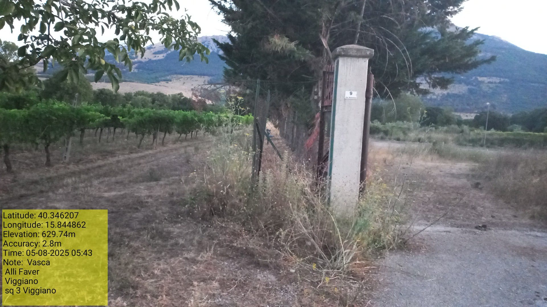 Galleria Fotografica Immagine