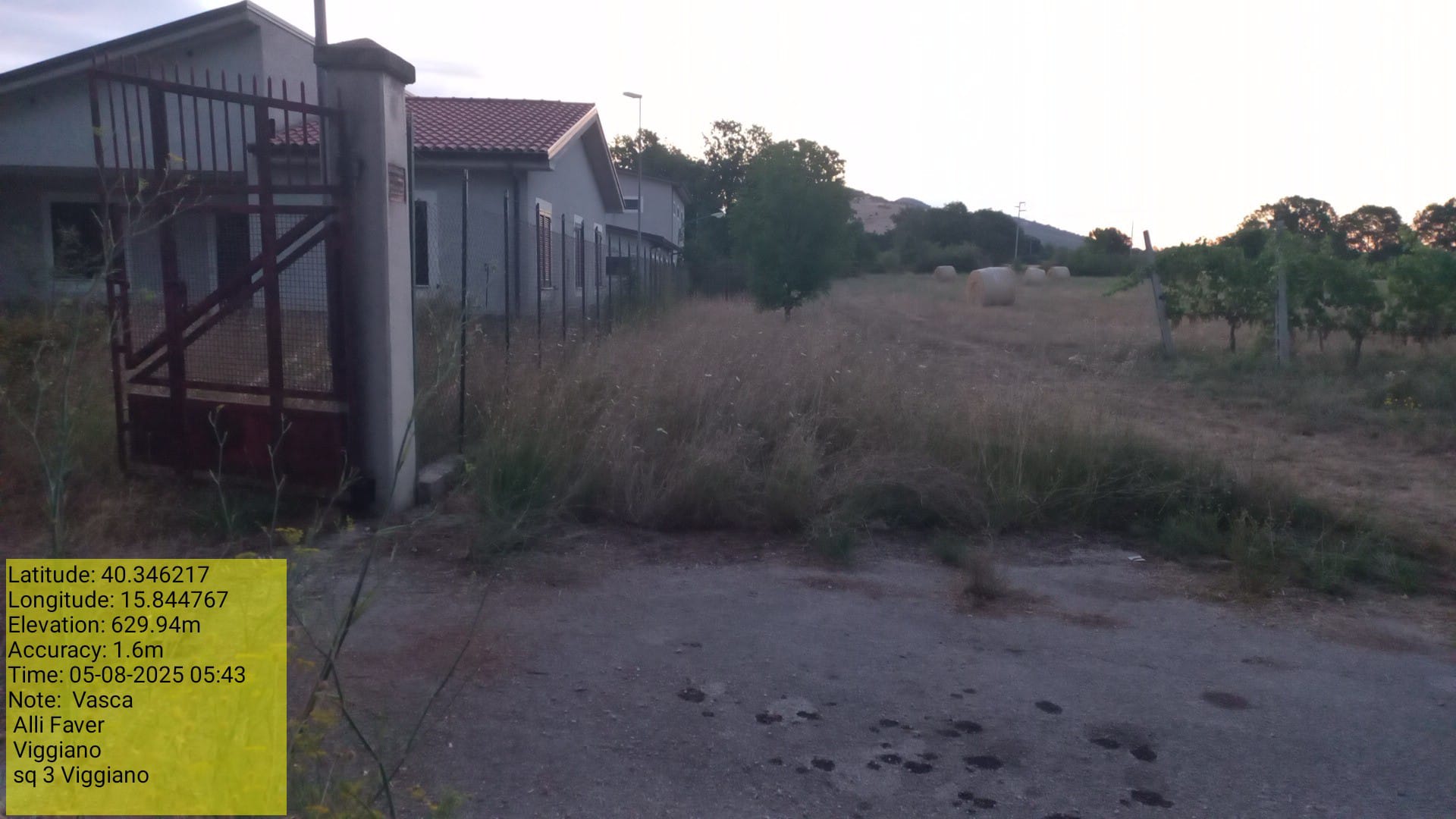 Galleria Fotografica Immagine