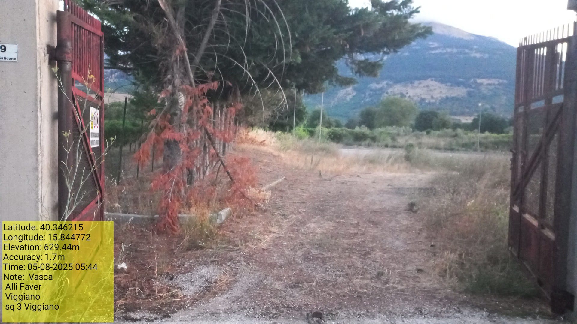 Galleria Fotografica Immagine