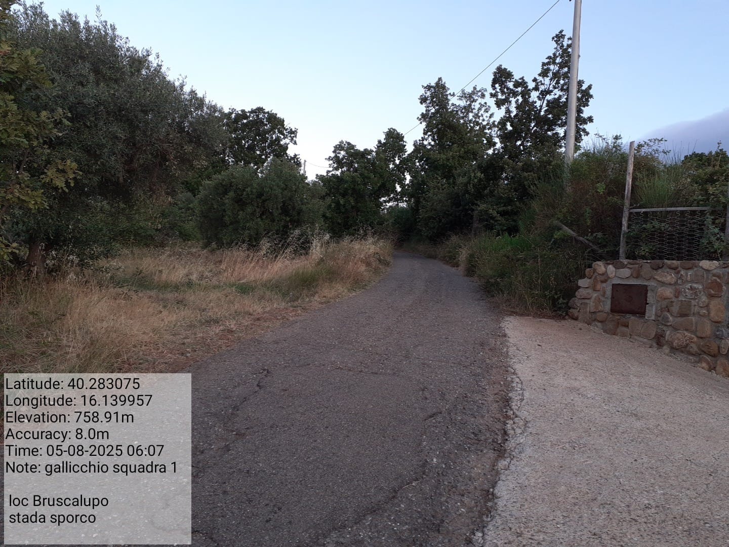 Galleria Fotografica Immagine