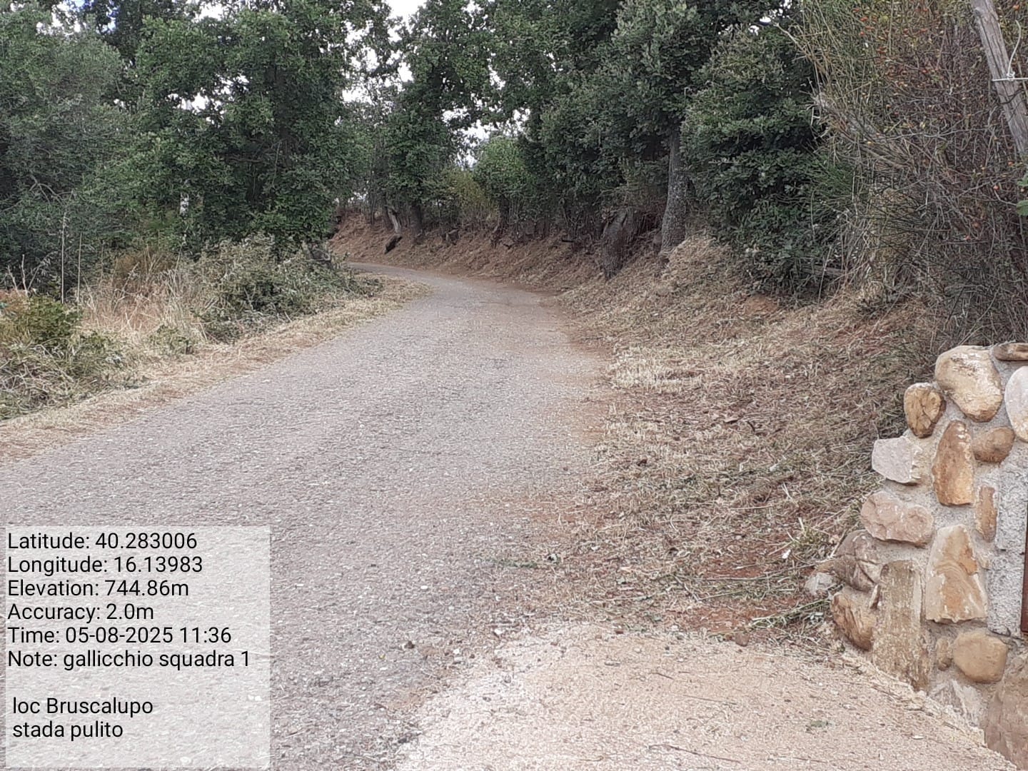 Galleria Fotografica Immagine