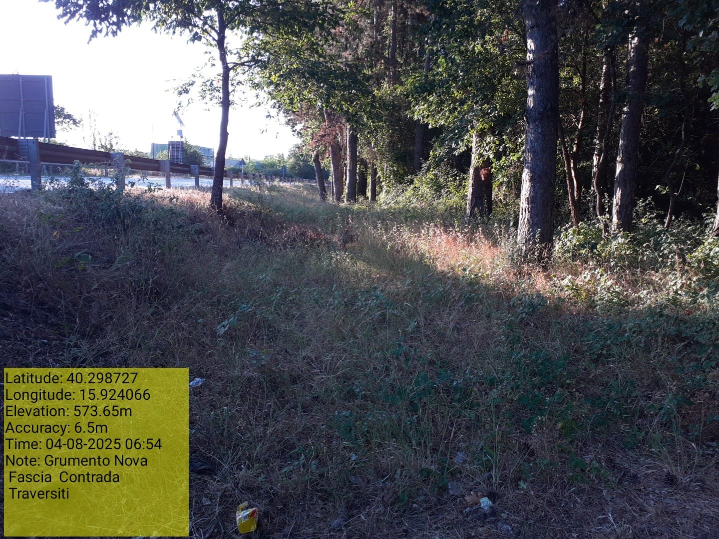 Galleria Fotografica Immagine