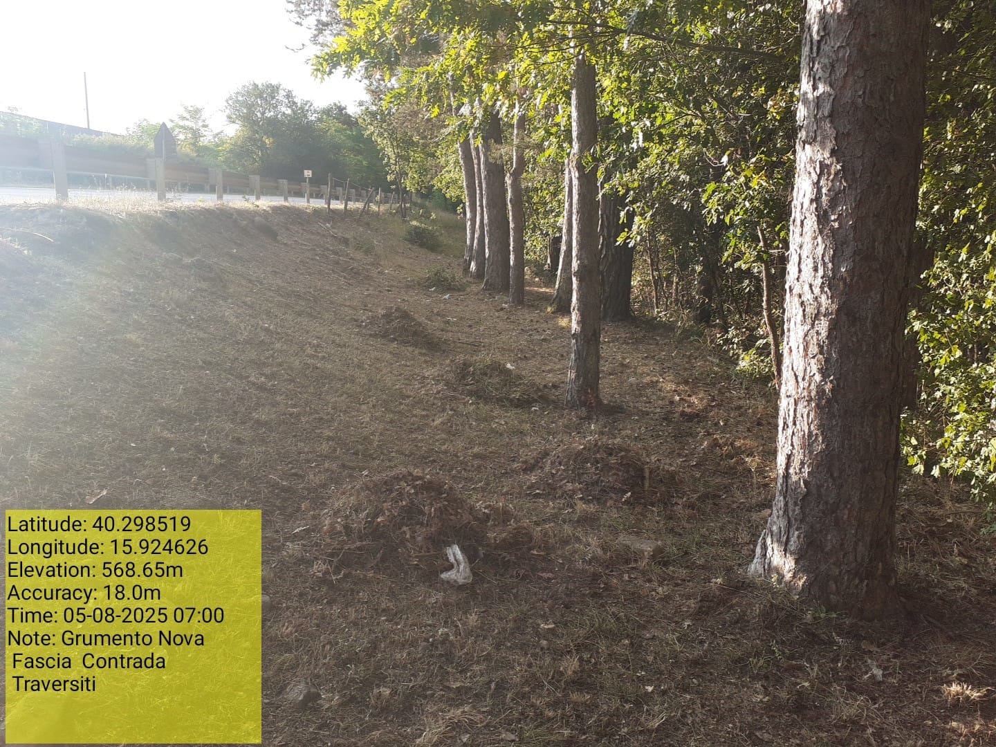 Galleria Fotografica Immagine