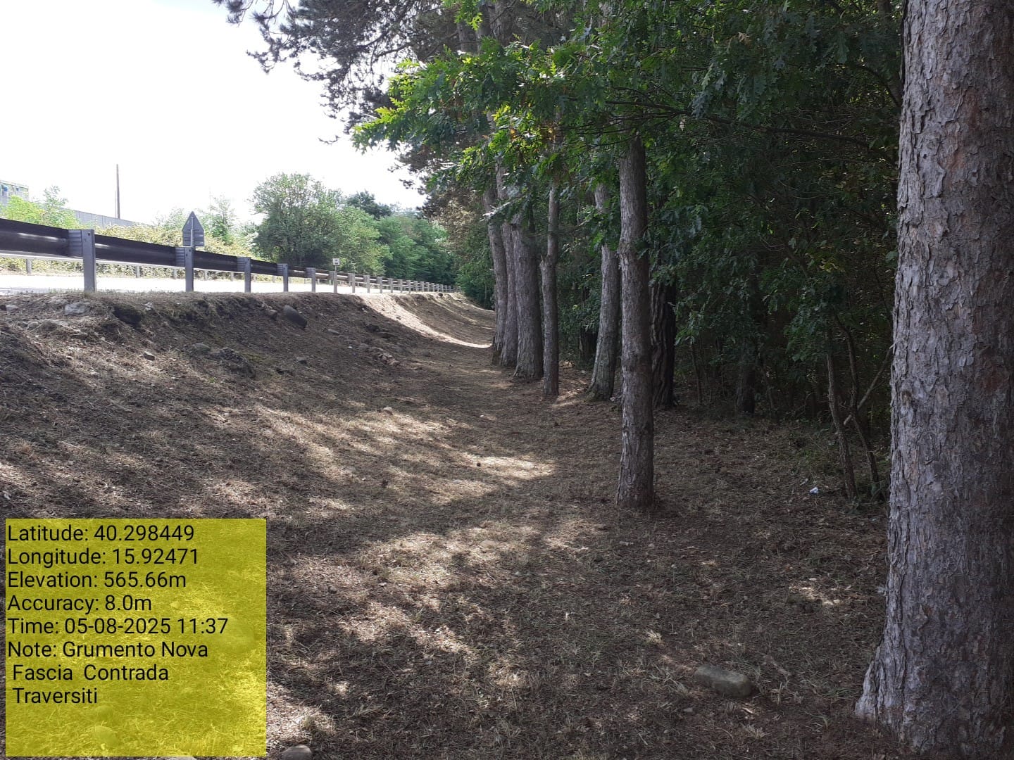 Galleria Fotografica Immagine