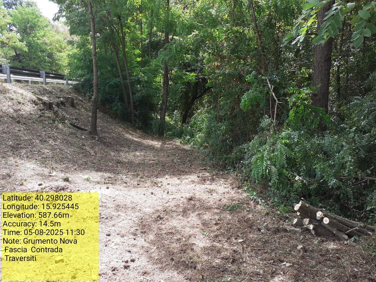 Galleria Fotografica Immagine