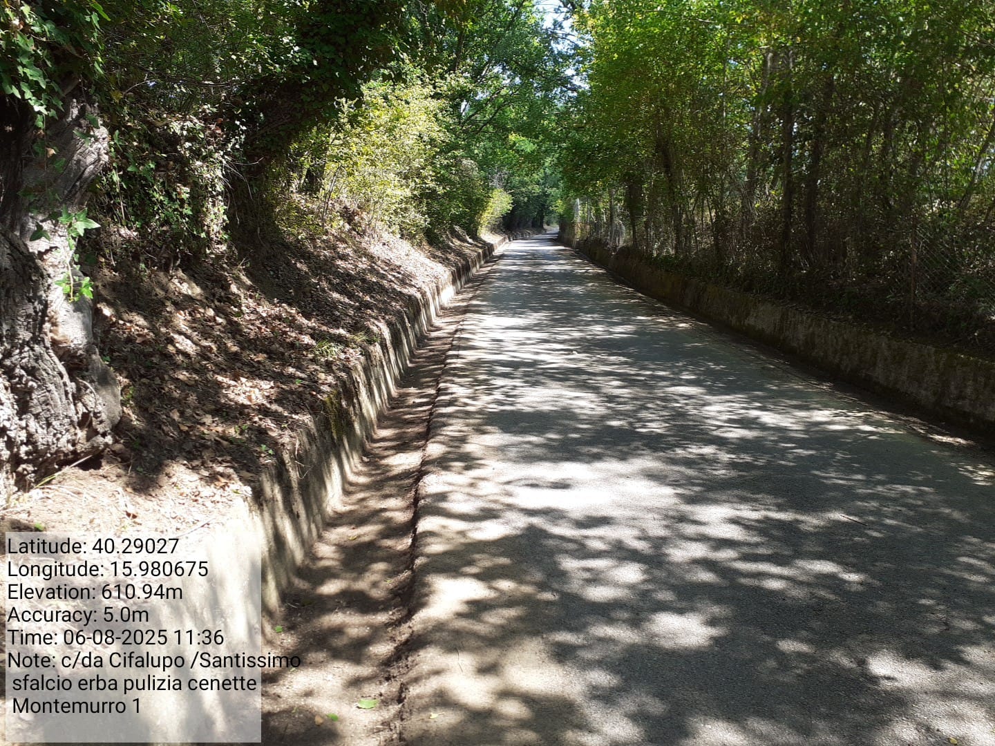 Galleria Fotografica Immagine