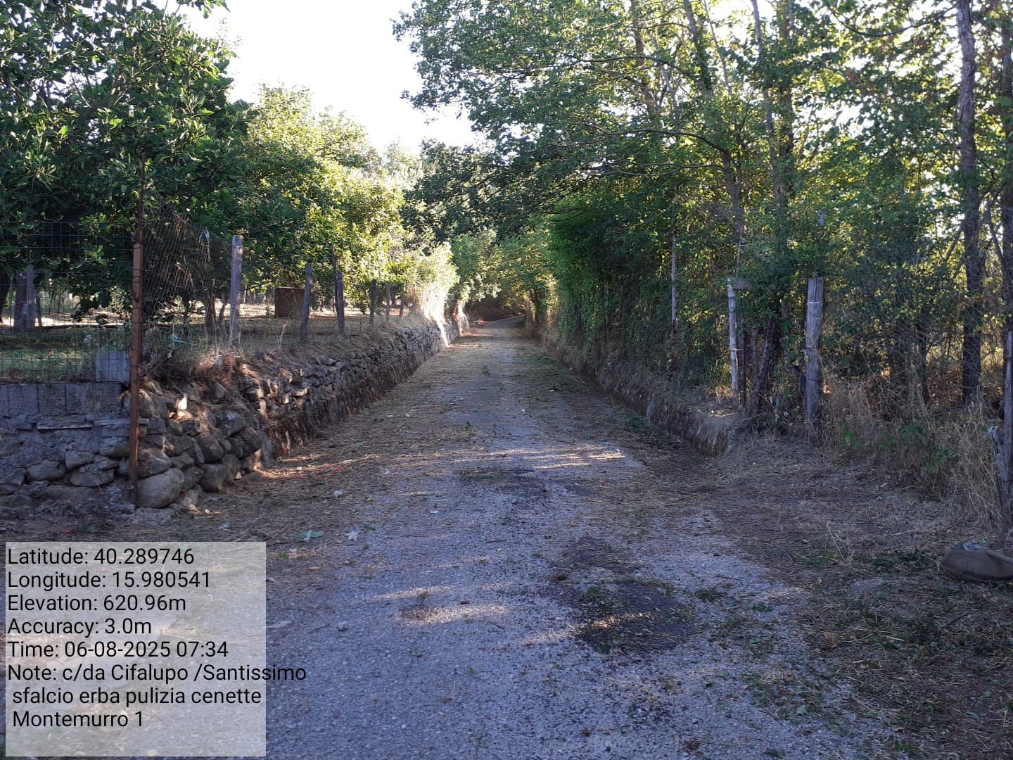 Galleria Fotografica Immagine