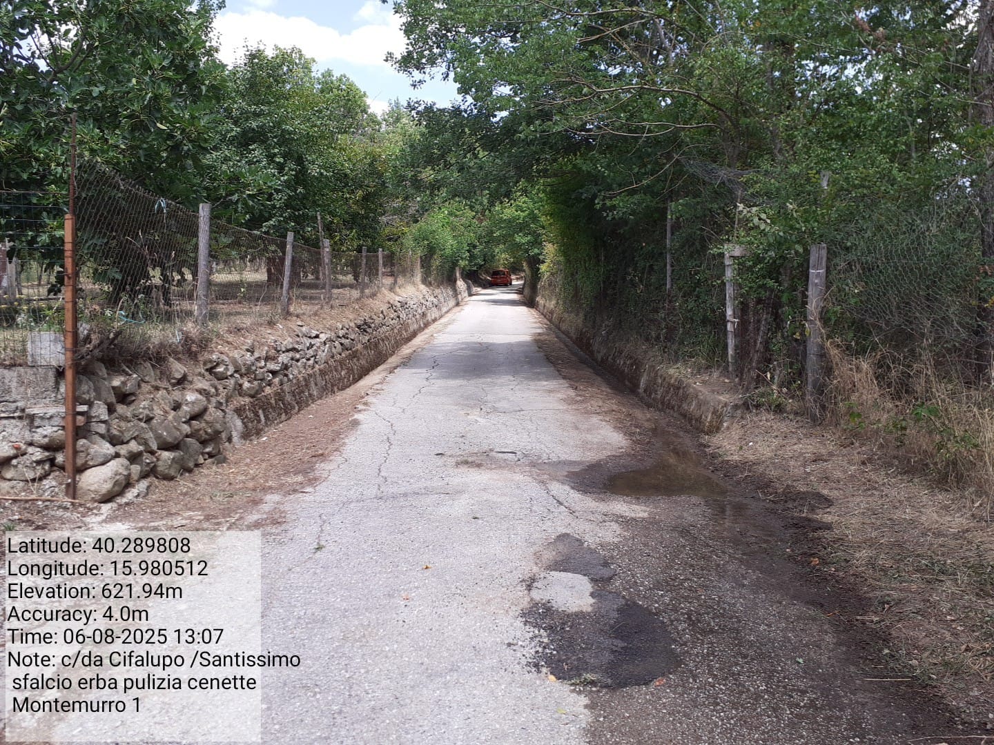 Galleria Fotografica Immagine