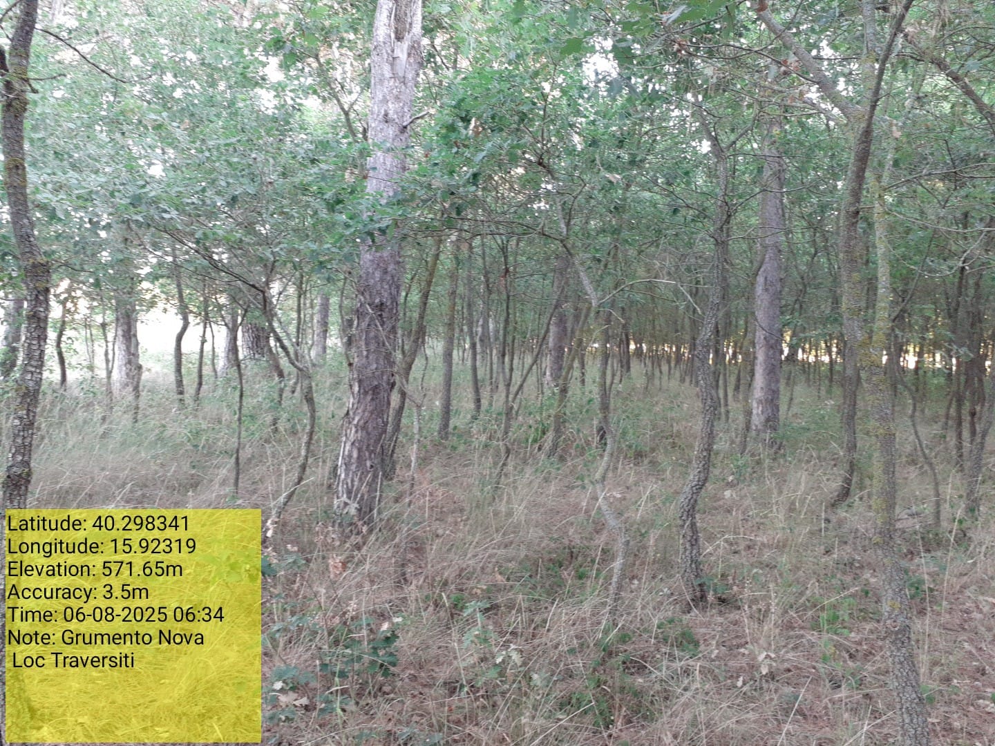 Galleria Fotografica Immagine