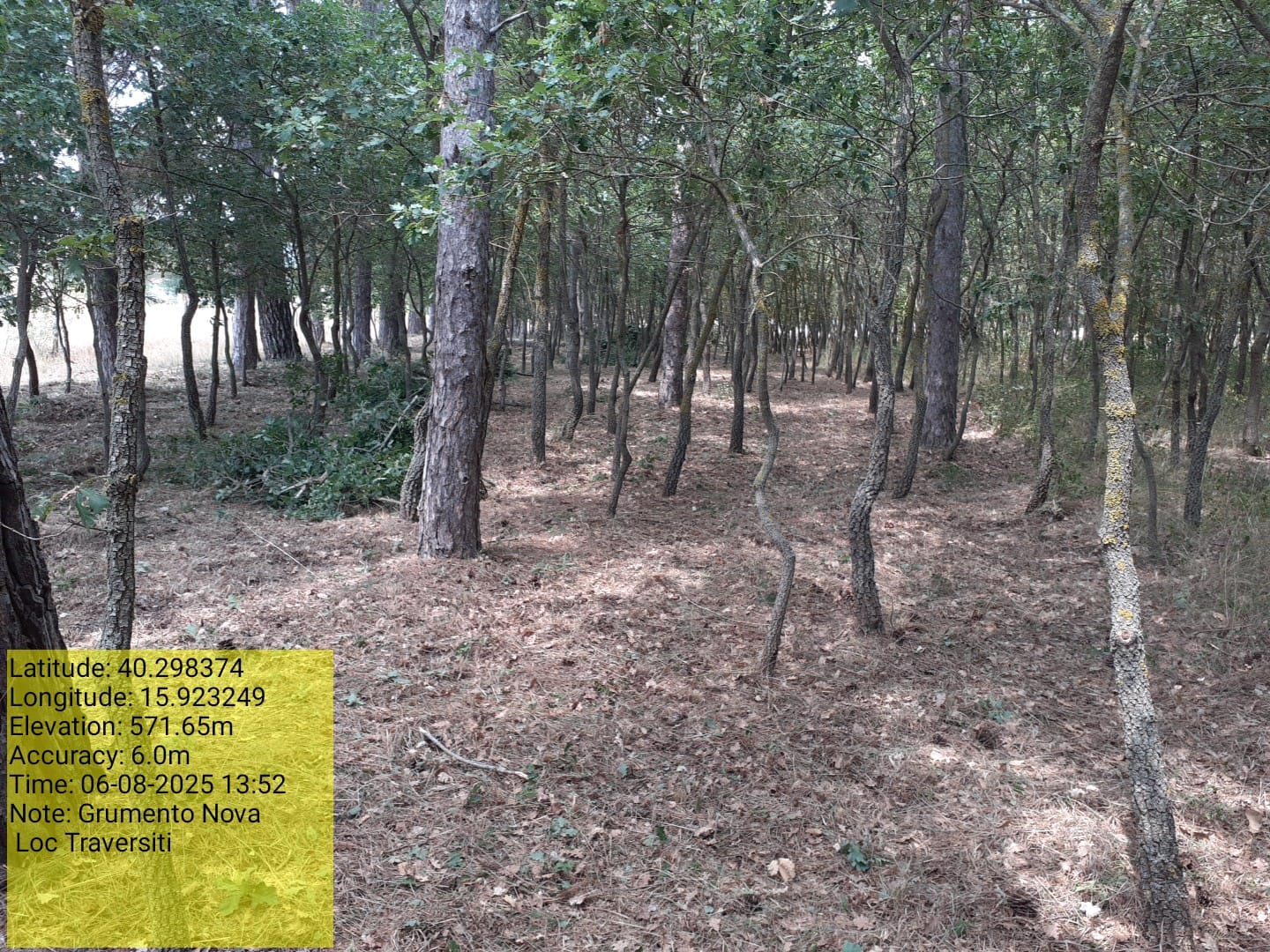 Galleria Fotografica Immagine