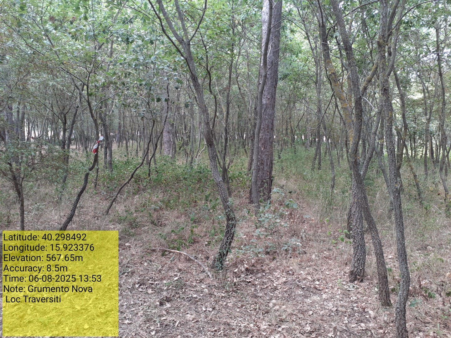 Galleria Fotografica Immagine