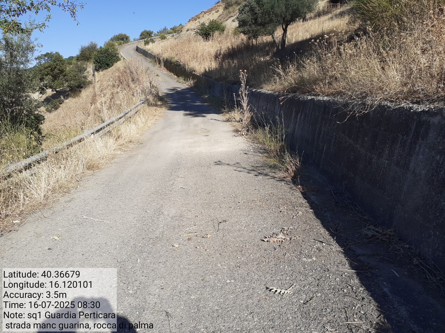 Galleria Fotografica Immagine