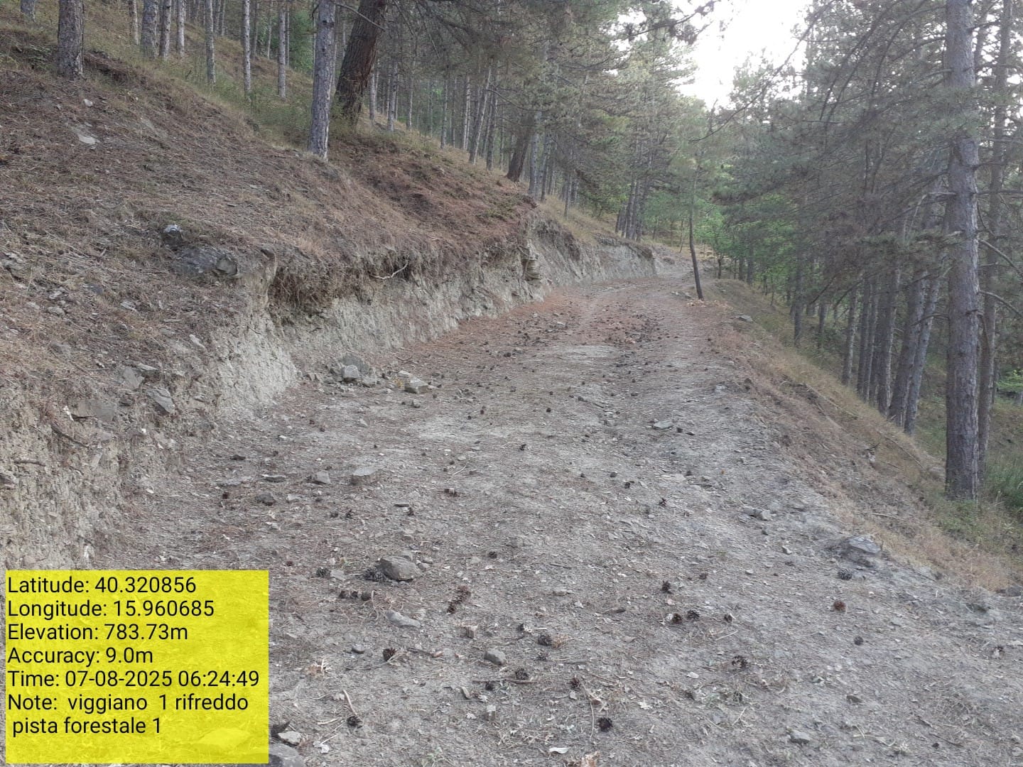 Galleria Fotografica Immagine