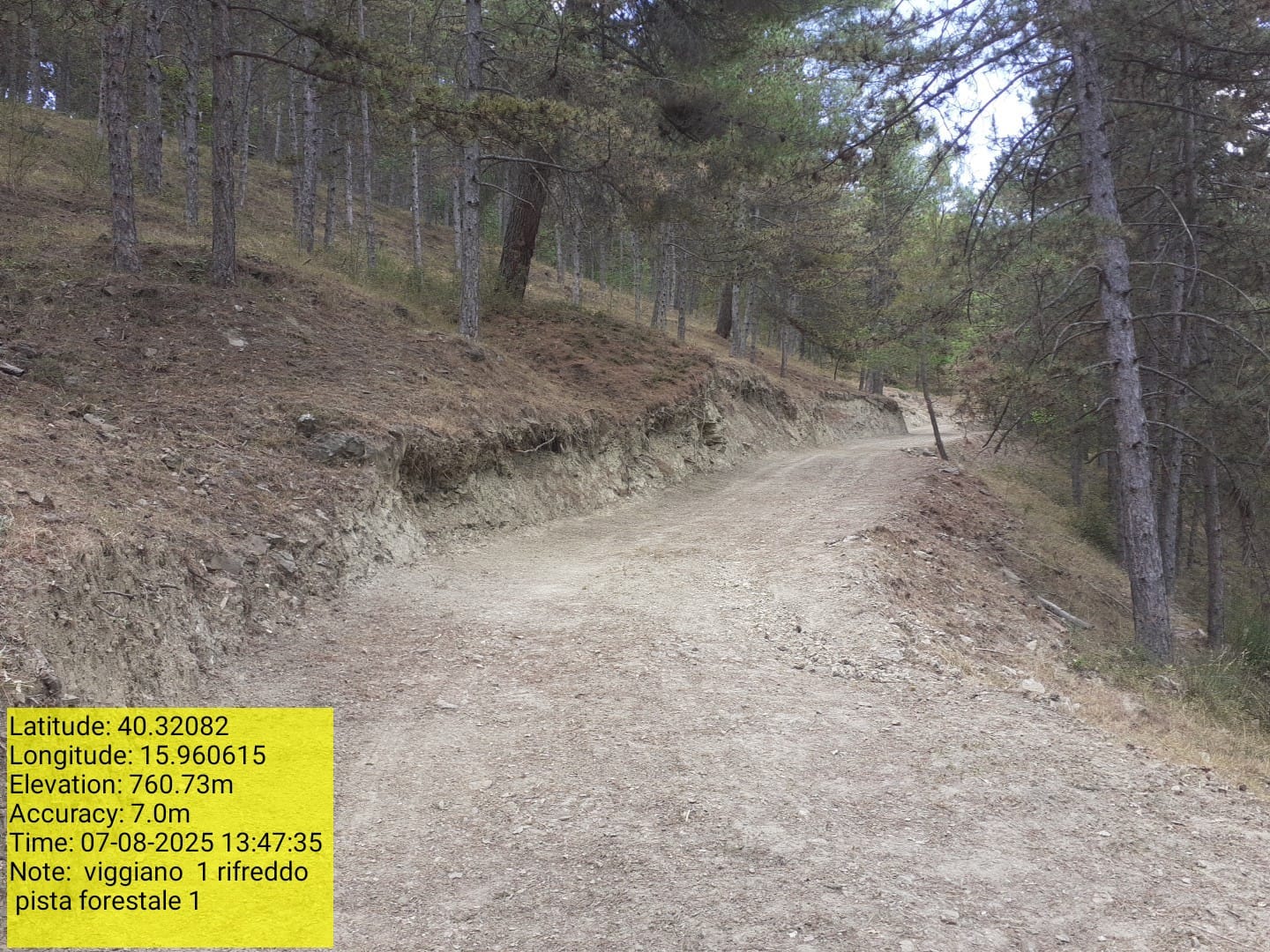 Galleria Fotografica Immagine