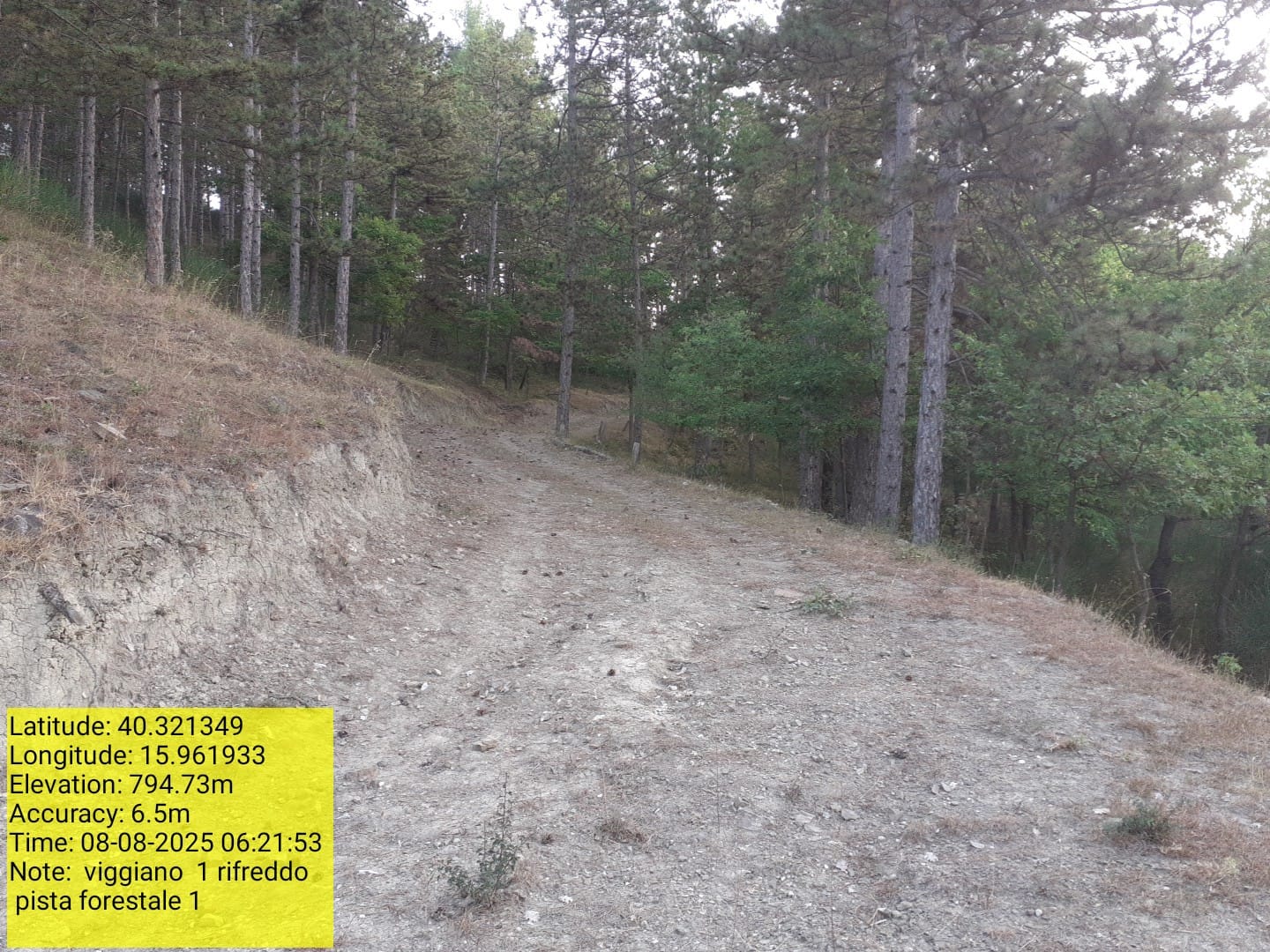 Galleria Fotografica Immagine