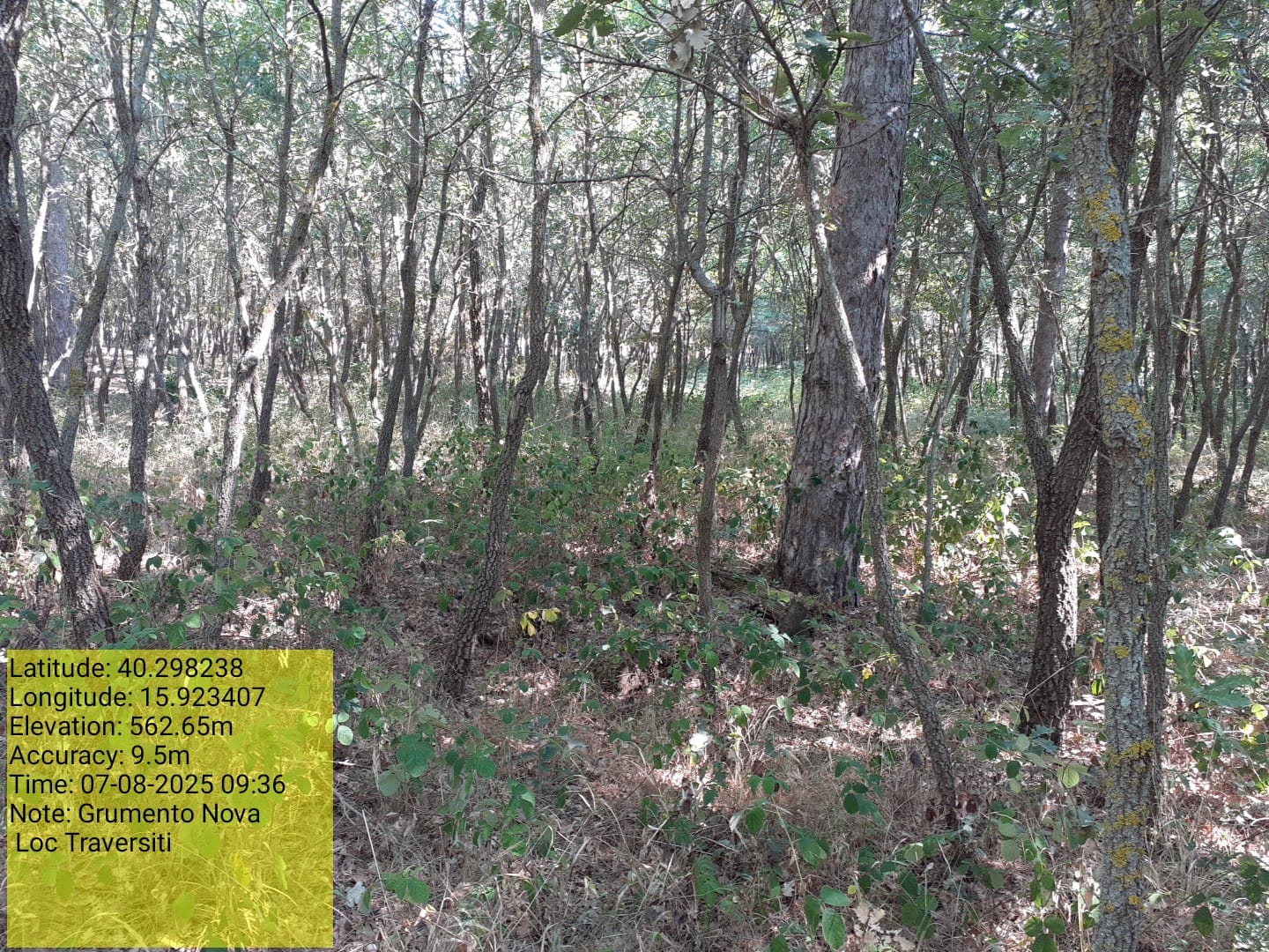 Galleria Fotografica Immagine