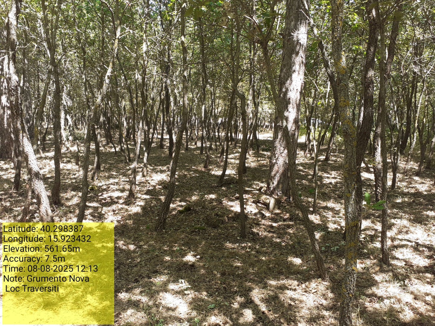 Galleria Fotografica Immagine