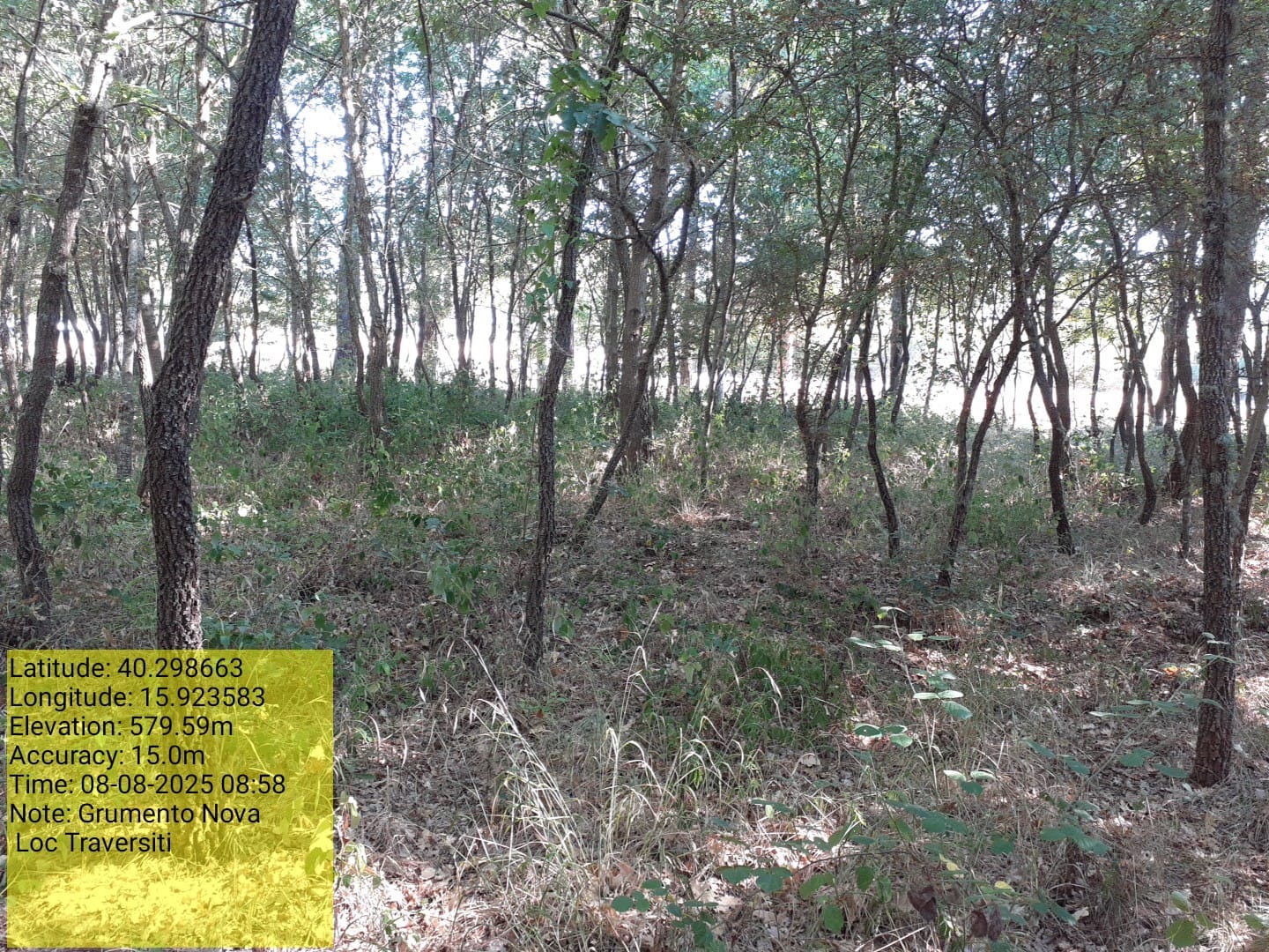 Galleria Fotografica Immagine