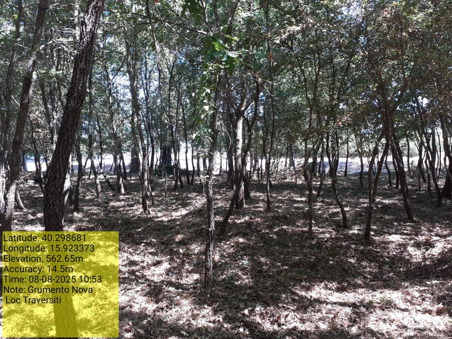 Galleria Fotografica Immagine