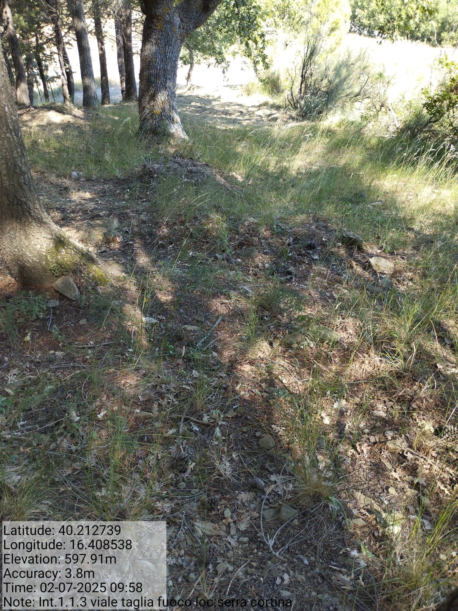 Galleria Fotografica Immagine