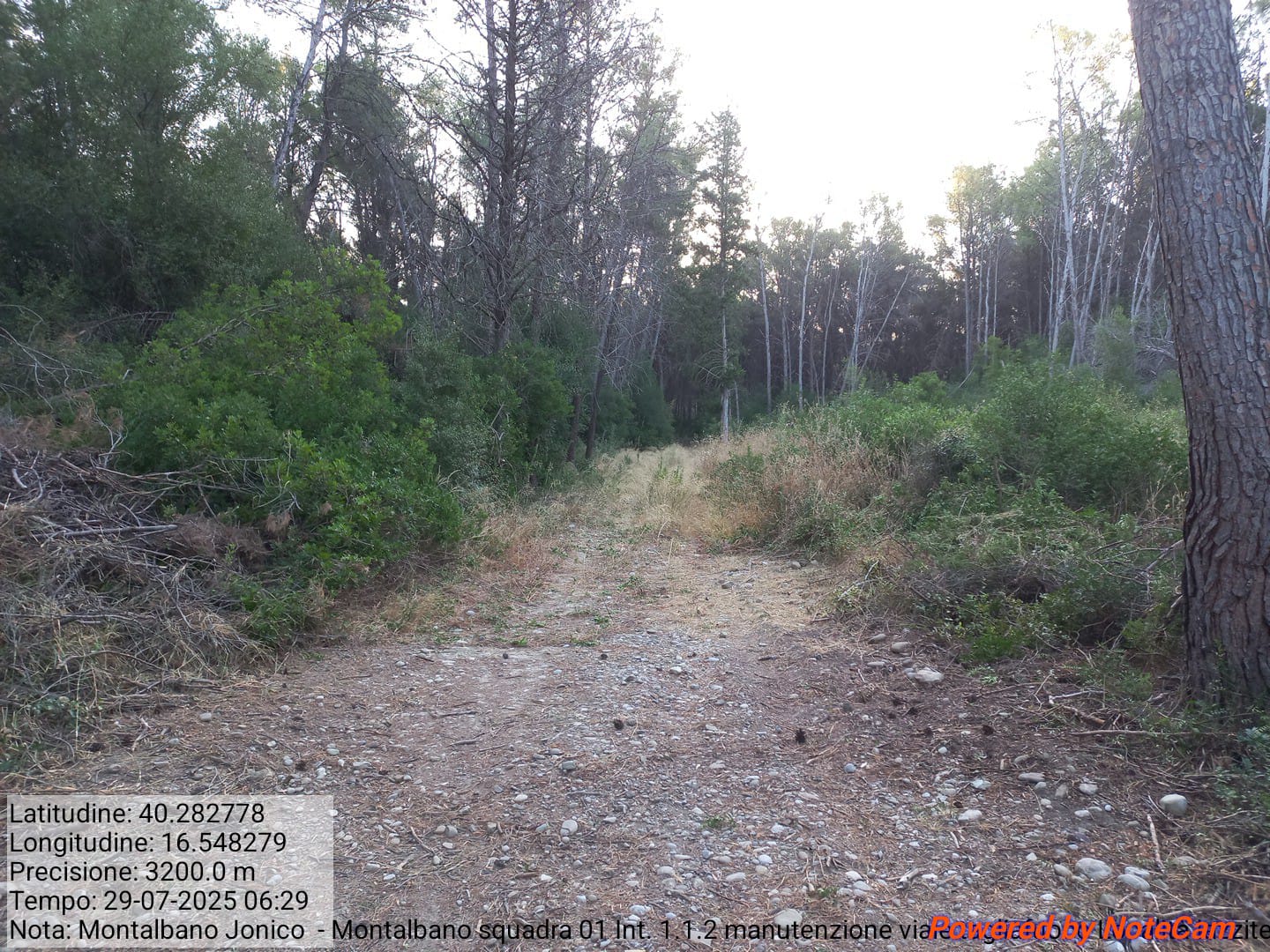 Galleria Fotografica Immagine