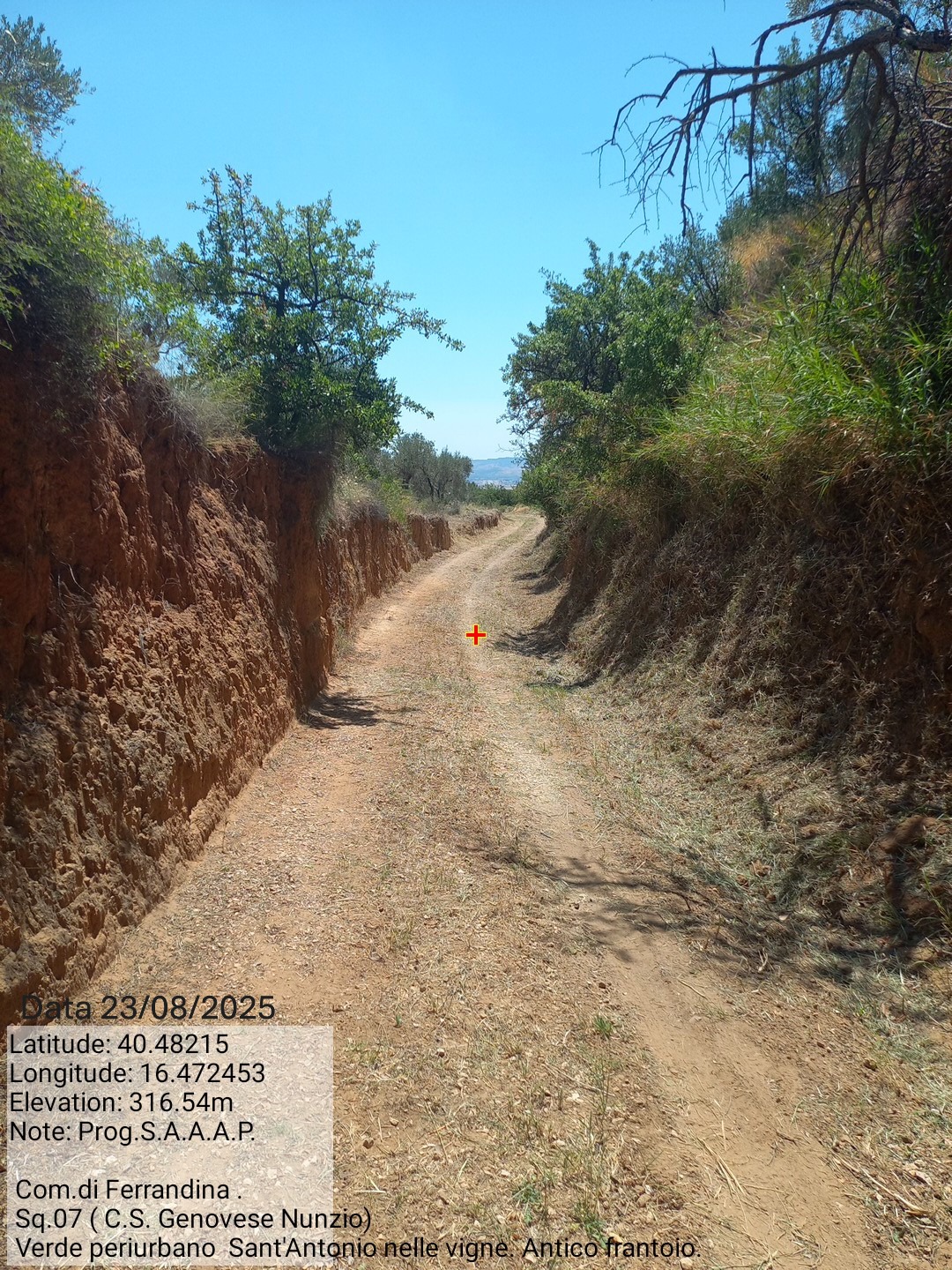 Galleria Fotografica Immagine