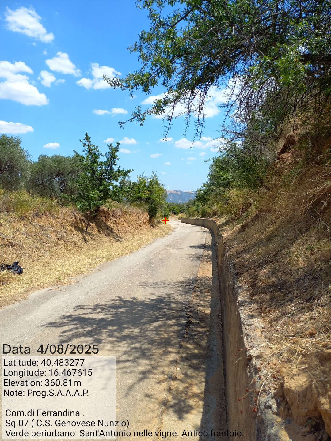 Galleria Fotografica Immagine