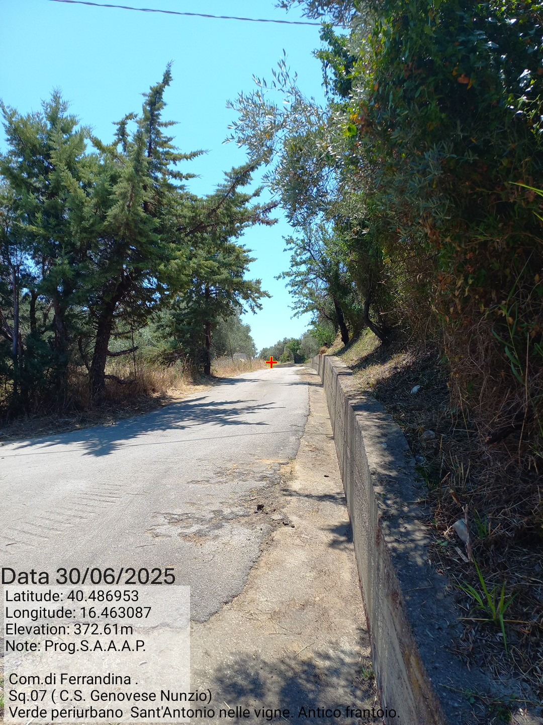 Galleria Fotografica Immagine