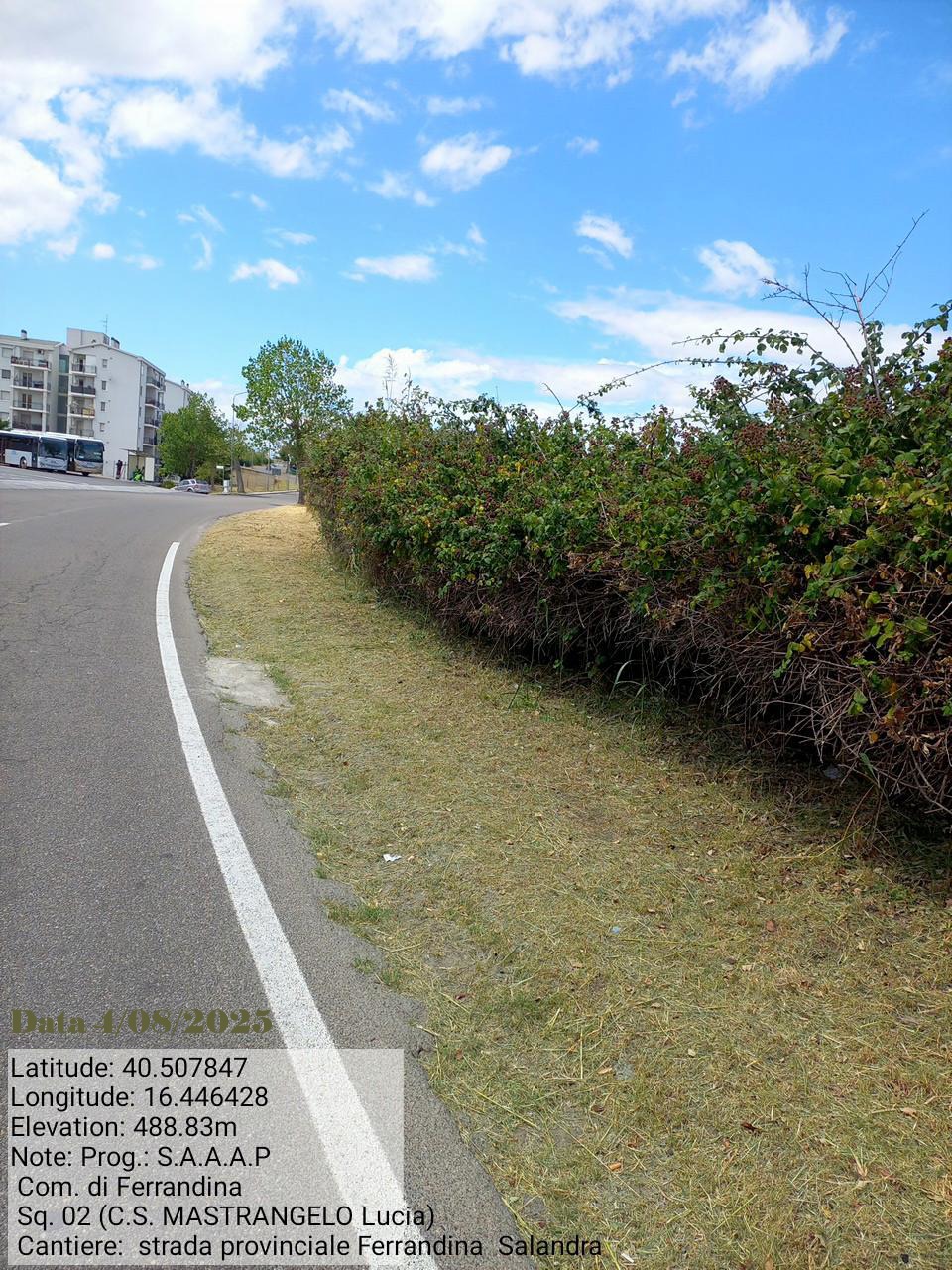 Galleria Fotografica Immagine