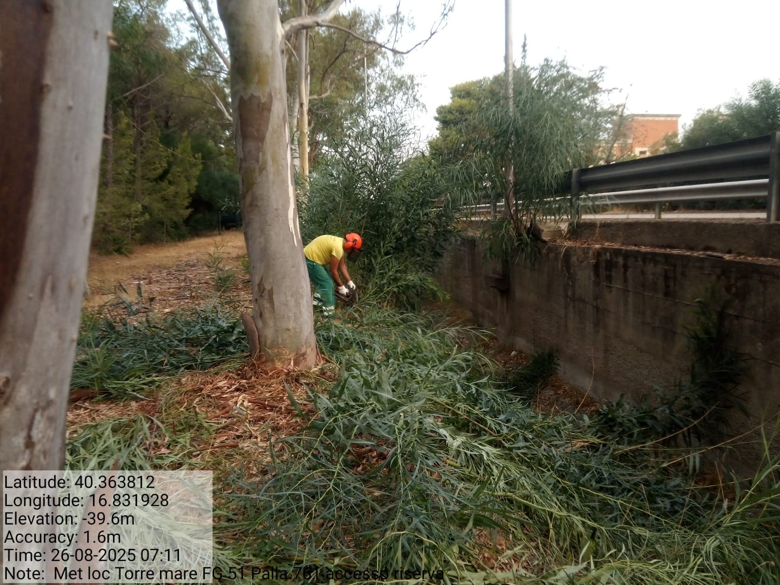 Galleria Fotografica Immagine