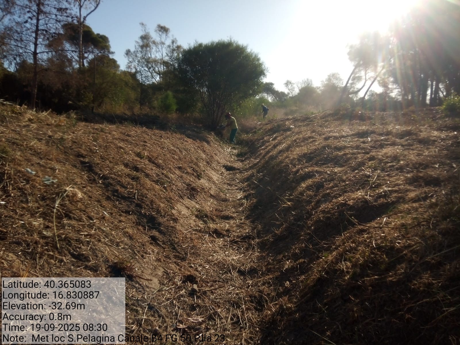 Galleria Fotografica Immagine