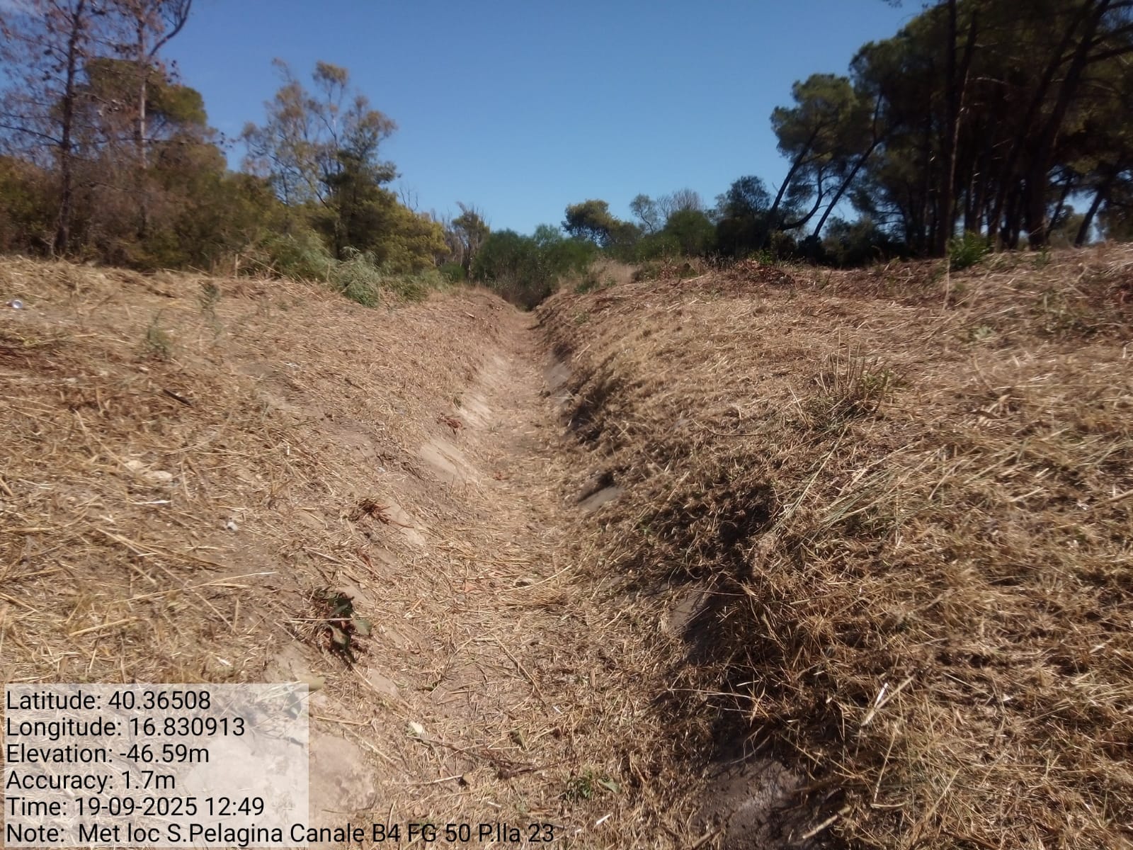 Galleria Fotografica Immagine