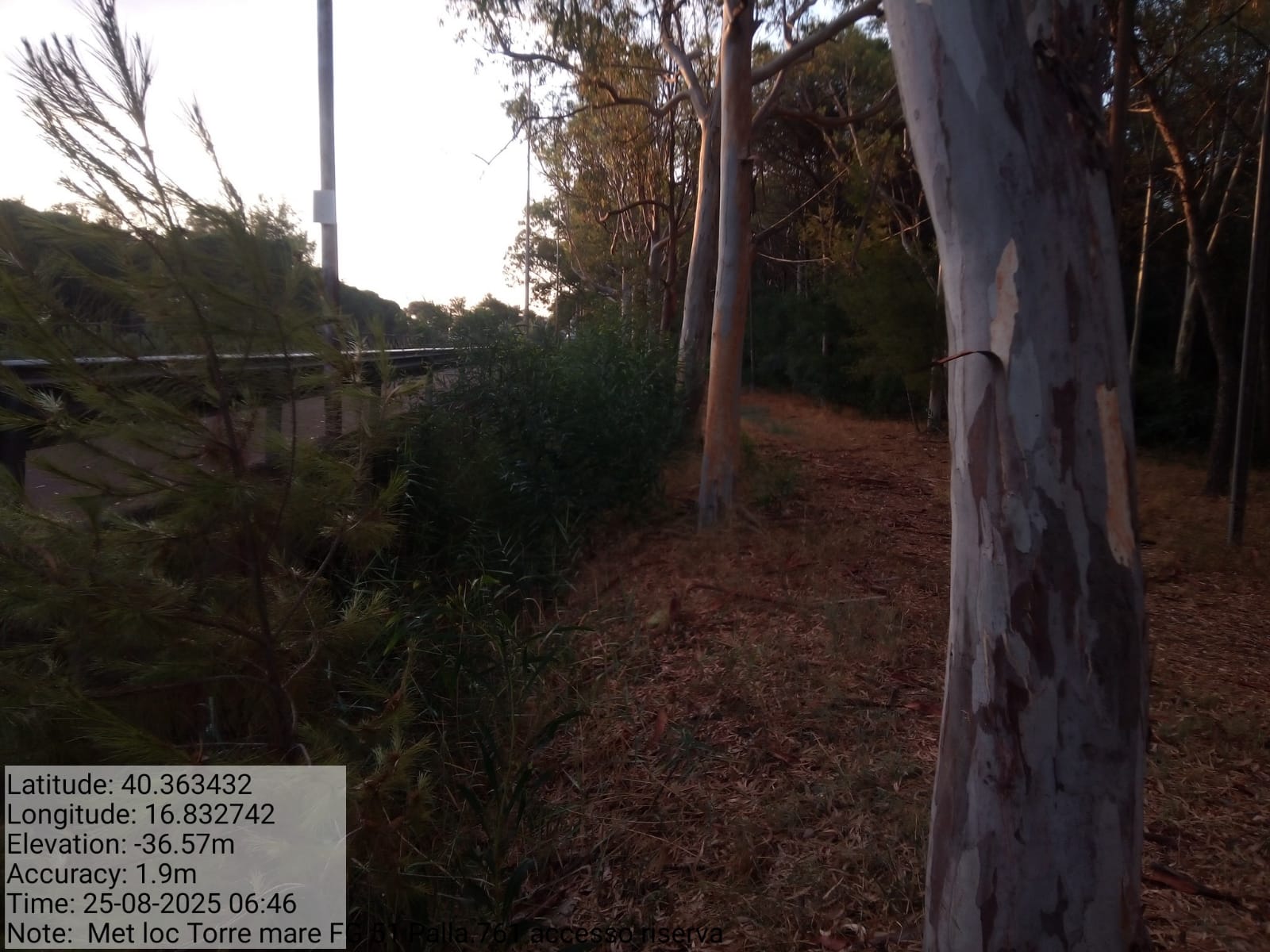 Galleria Fotografica Immagine