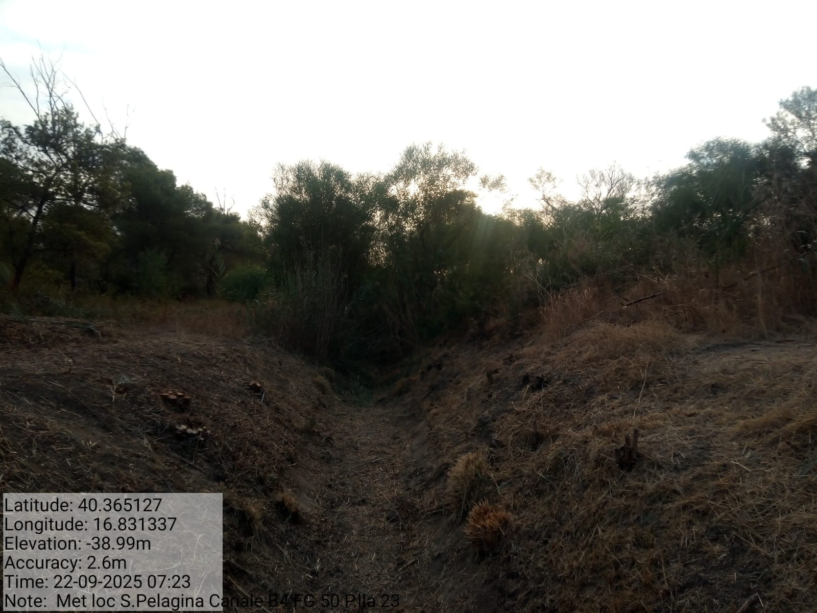 Galleria Fotografica Immagine