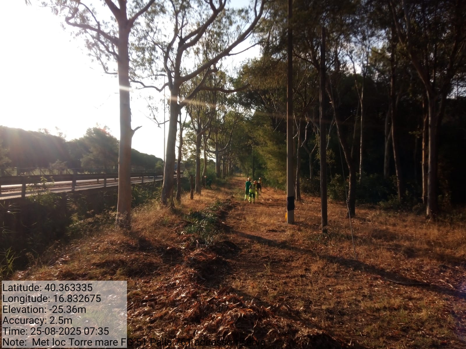 Galleria Fotografica Immagine