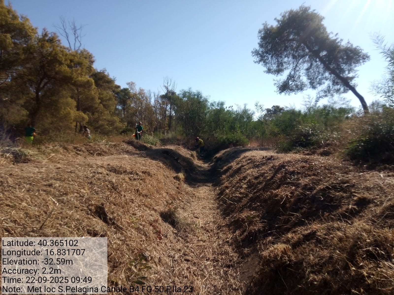 Galleria Fotografica Immagine