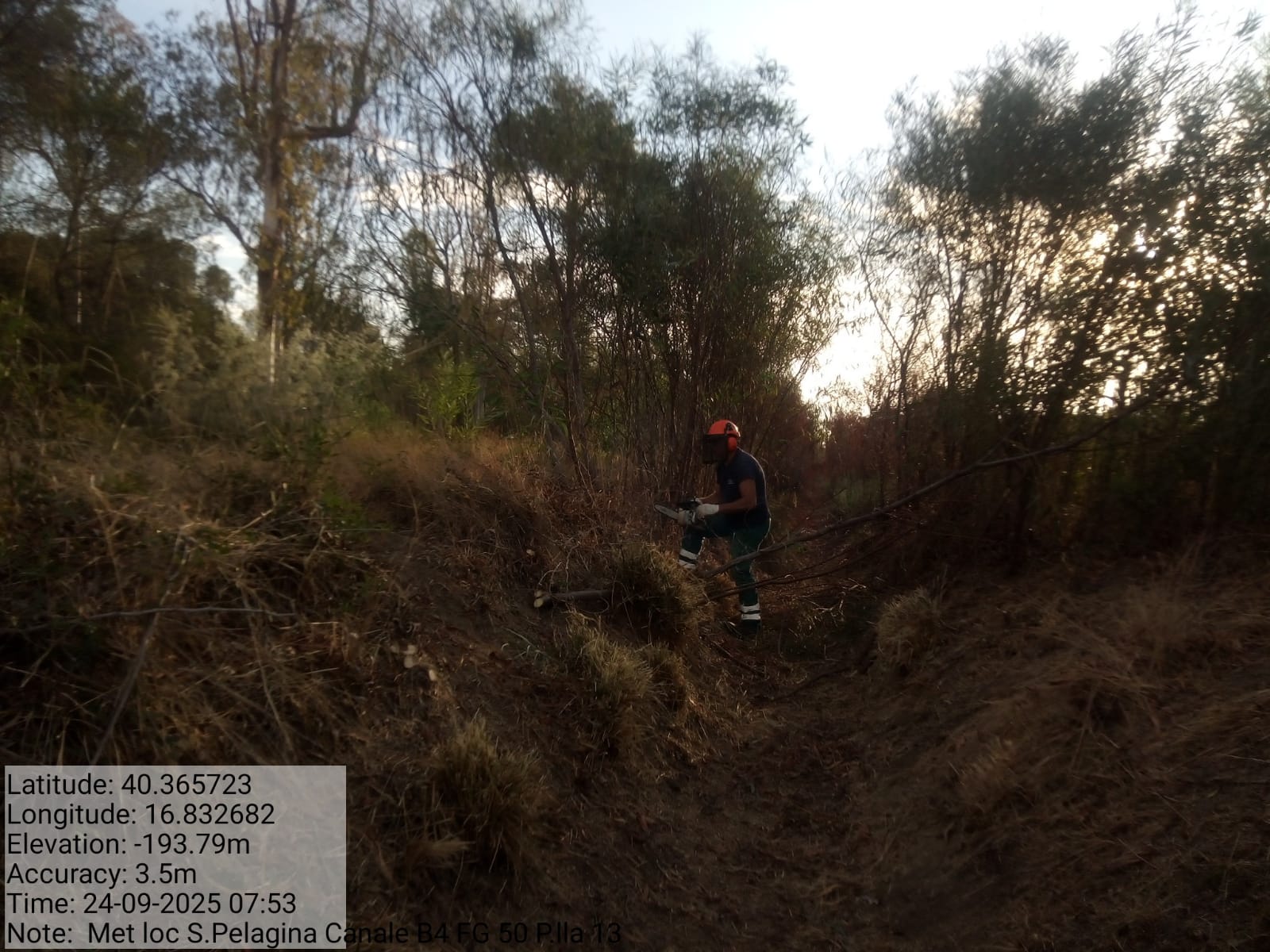 Galleria Fotografica Immagine