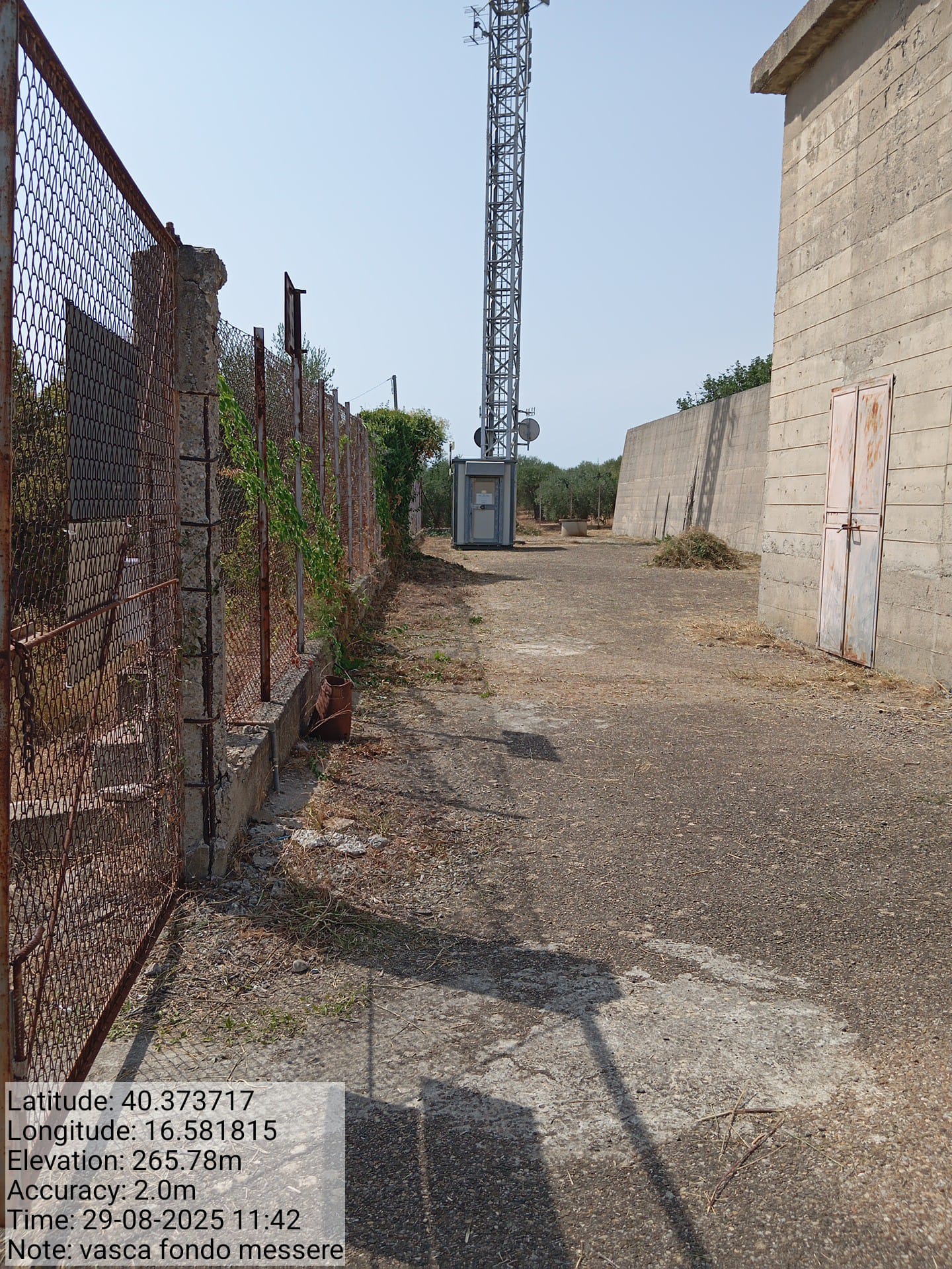 Galleria Fotografica Immagine