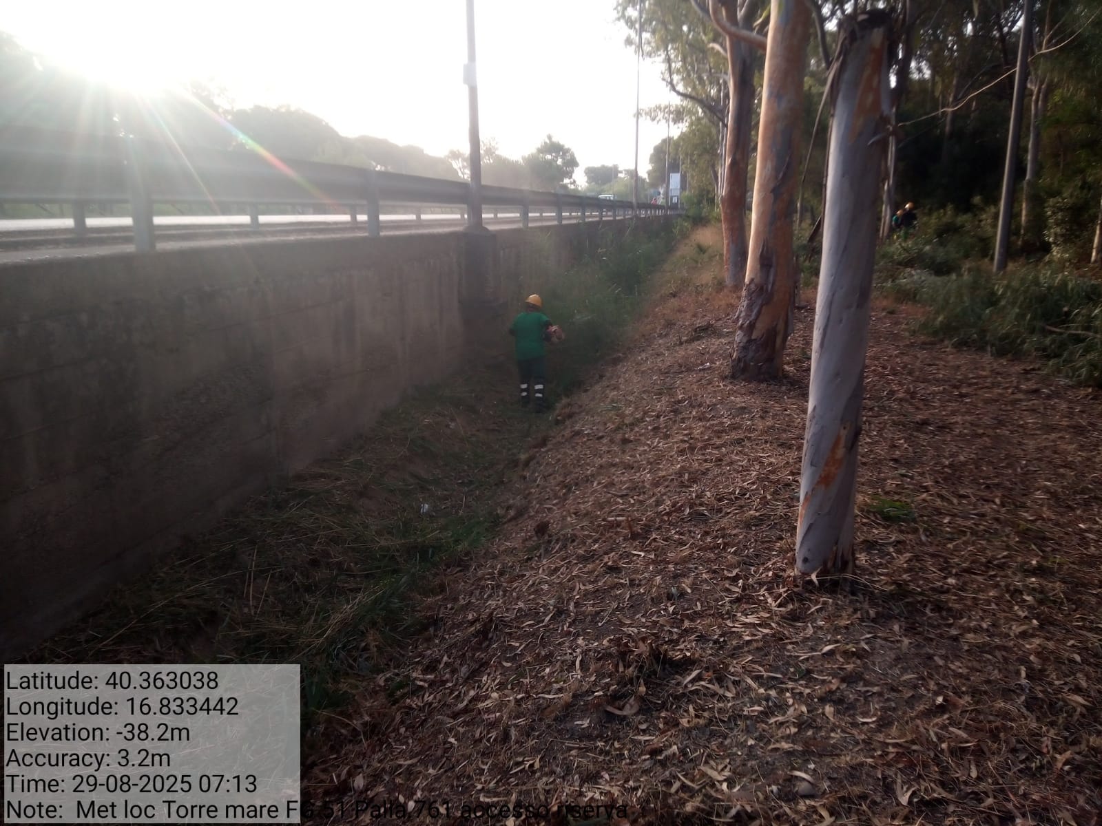 Galleria Fotografica Immagine