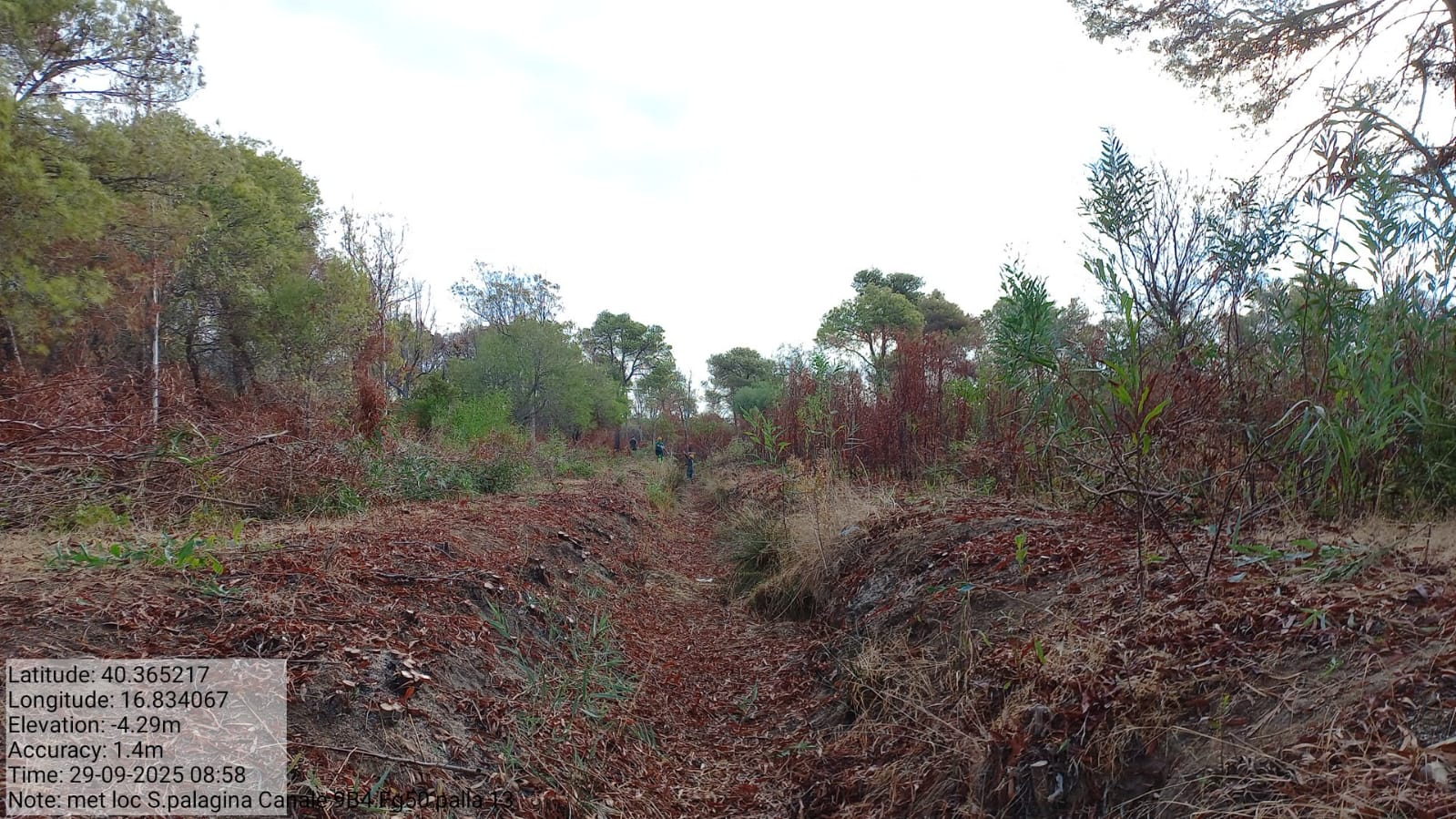 Galleria Fotografica Immagine