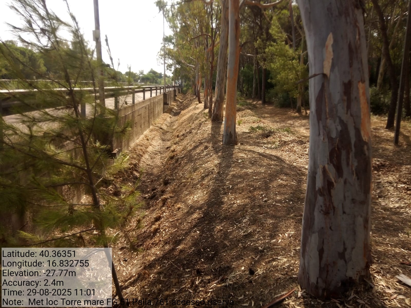 Galleria Fotografica Immagine