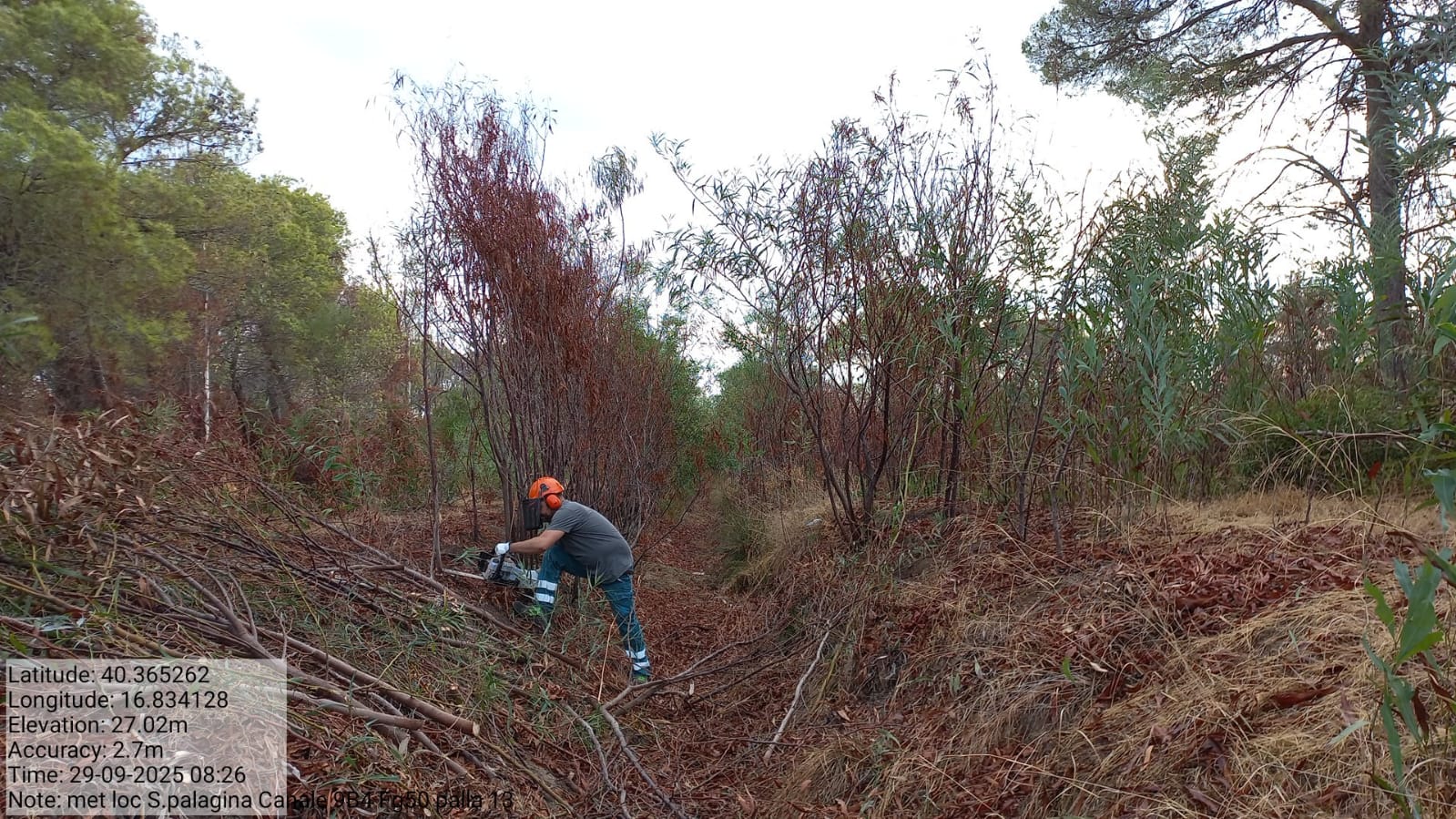 Galleria Fotografica Immagine