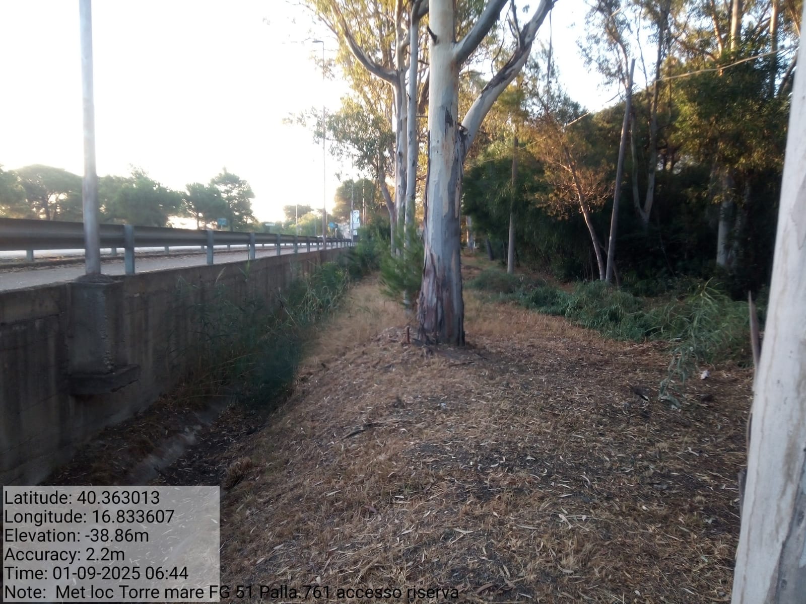 Galleria Fotografica Immagine