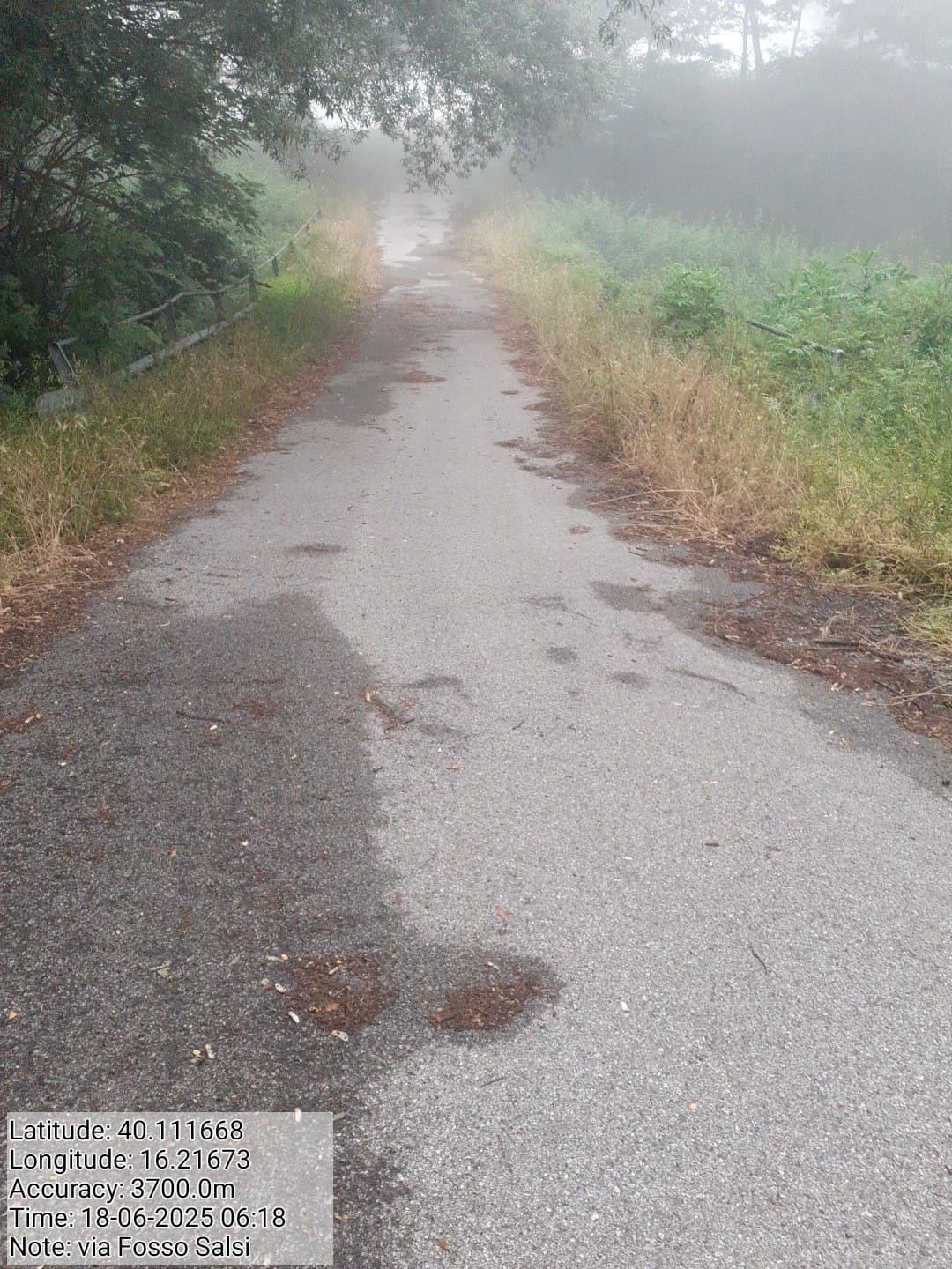 Galleria Fotografica Immagine