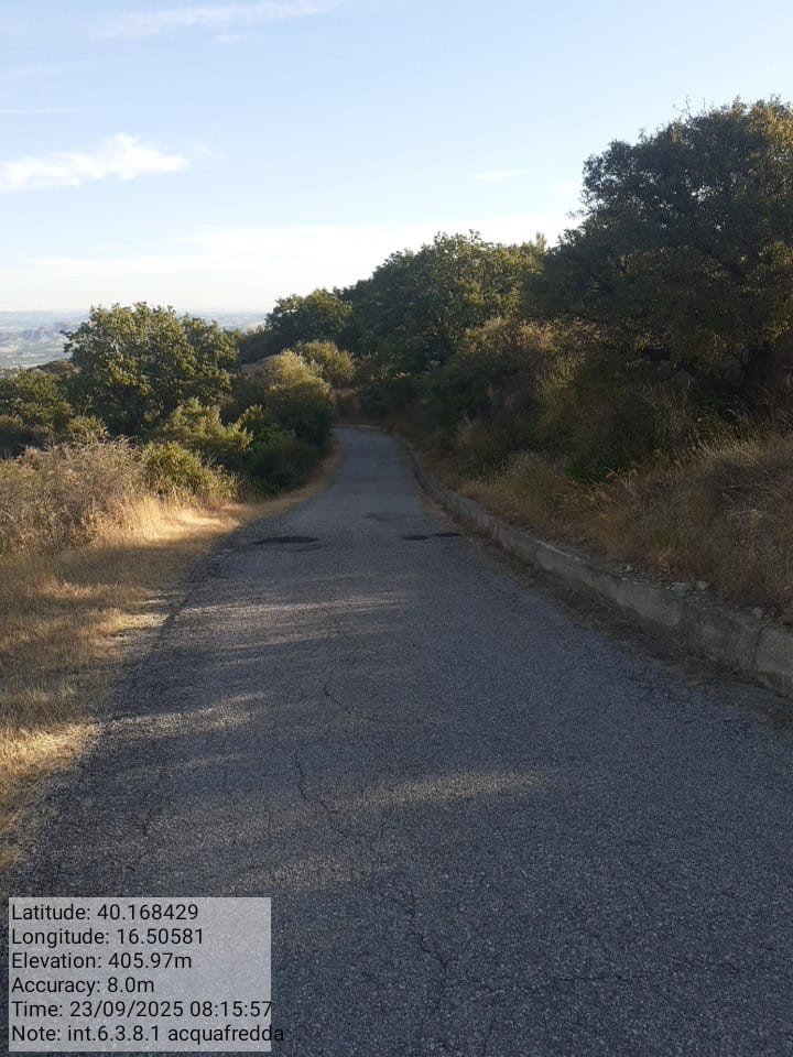 Galleria Fotografica Immagine