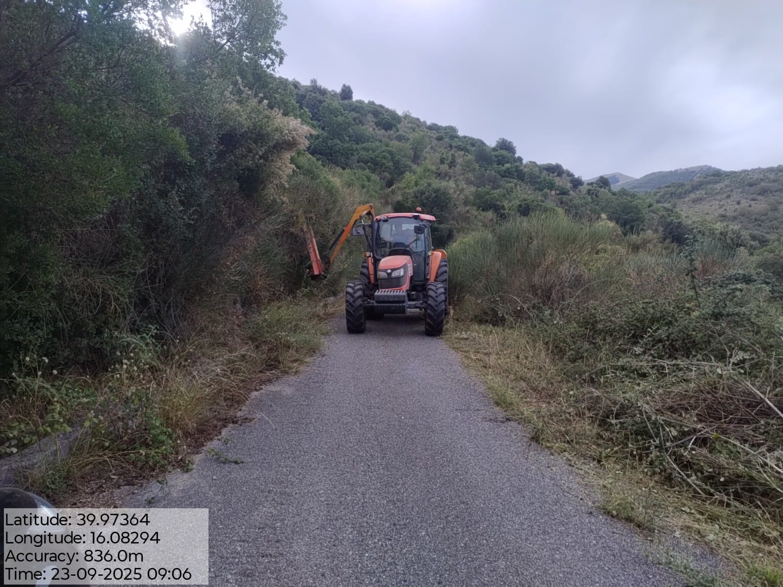 Galleria Fotografica Immagine