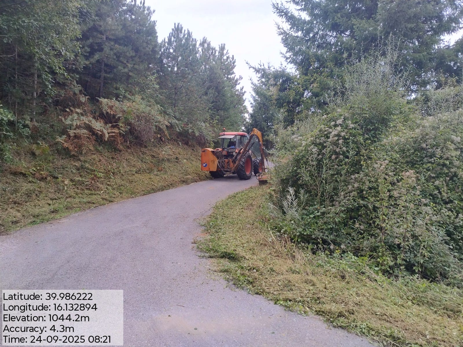 Galleria Fotografica Immagine