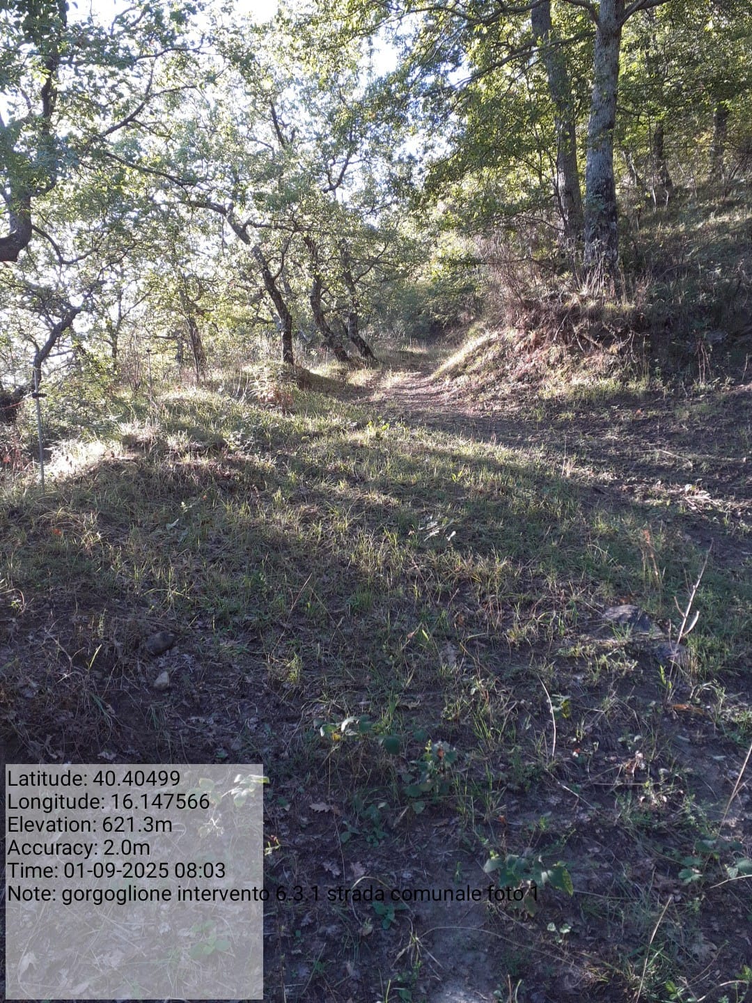 Galleria Fotografica Immagine