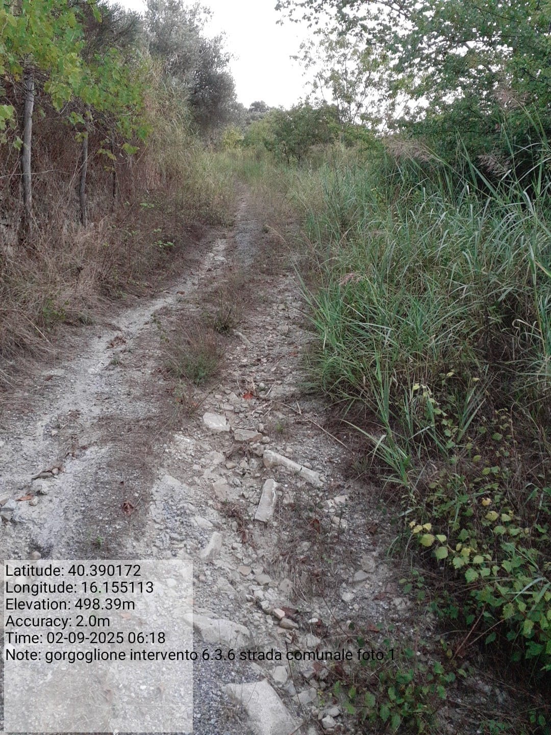 Galleria Fotografica Immagine