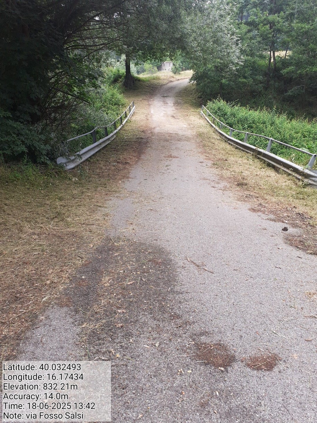 Galleria Fotografica Immagine